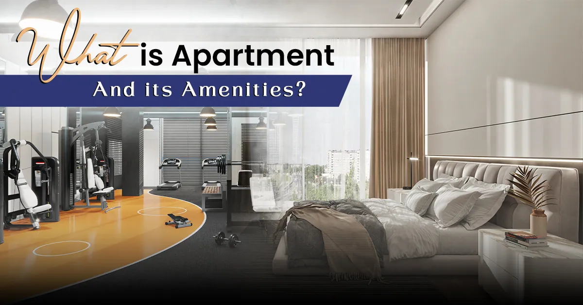 What is Apartment and its amenities